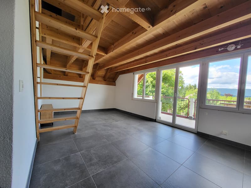 Zu vermieten: schöne 2,5-Zimmer Duplex-Wohnung (3)