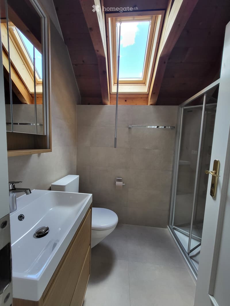 Zu vermieten: schöne 2,5-Zimmer Duplex-Wohnung (1)
