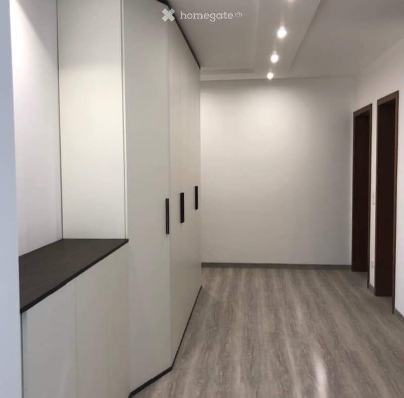 Luminoso appartamento completamente rinnovato (5)