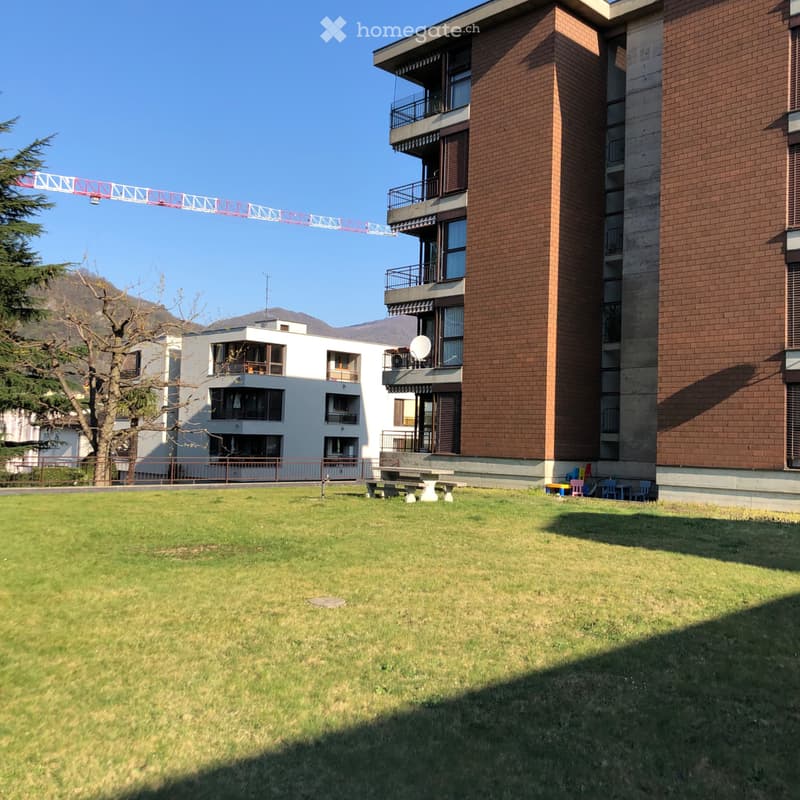 Luminoso appartamento completamente rinnovato (4)