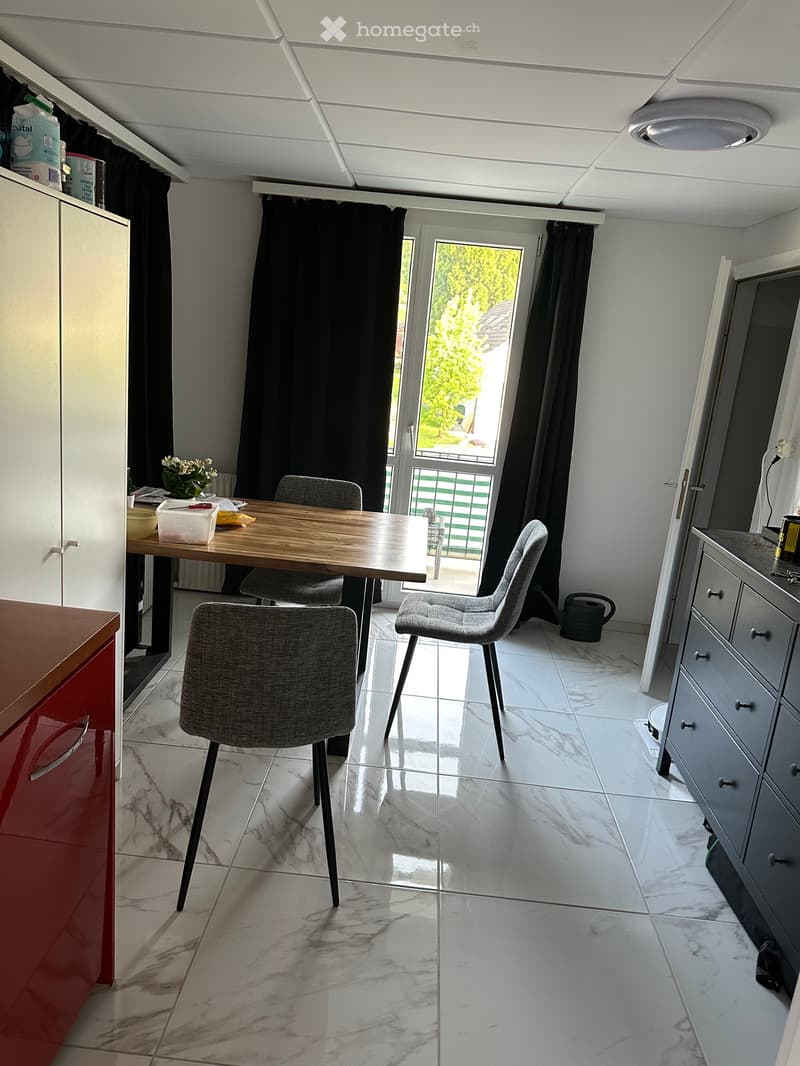 Schöne 1.5 Zimmer Wohnung sucht Nachmieter ab sofort (2)