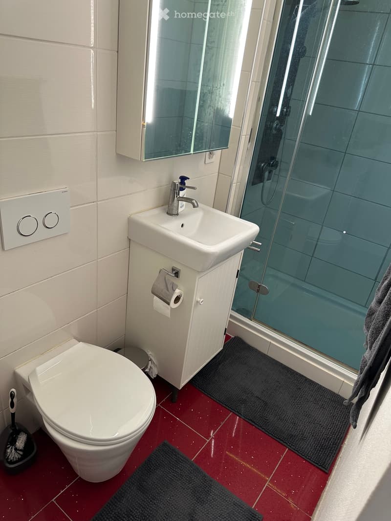 Schöne 1.5 Zimmer Wohnung sucht Nachmieter ab sofort (3)