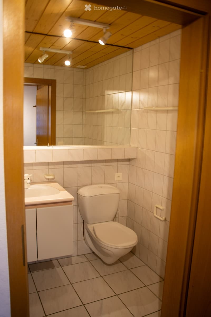 Schöne Wohnung im Diemtigtal (2)
