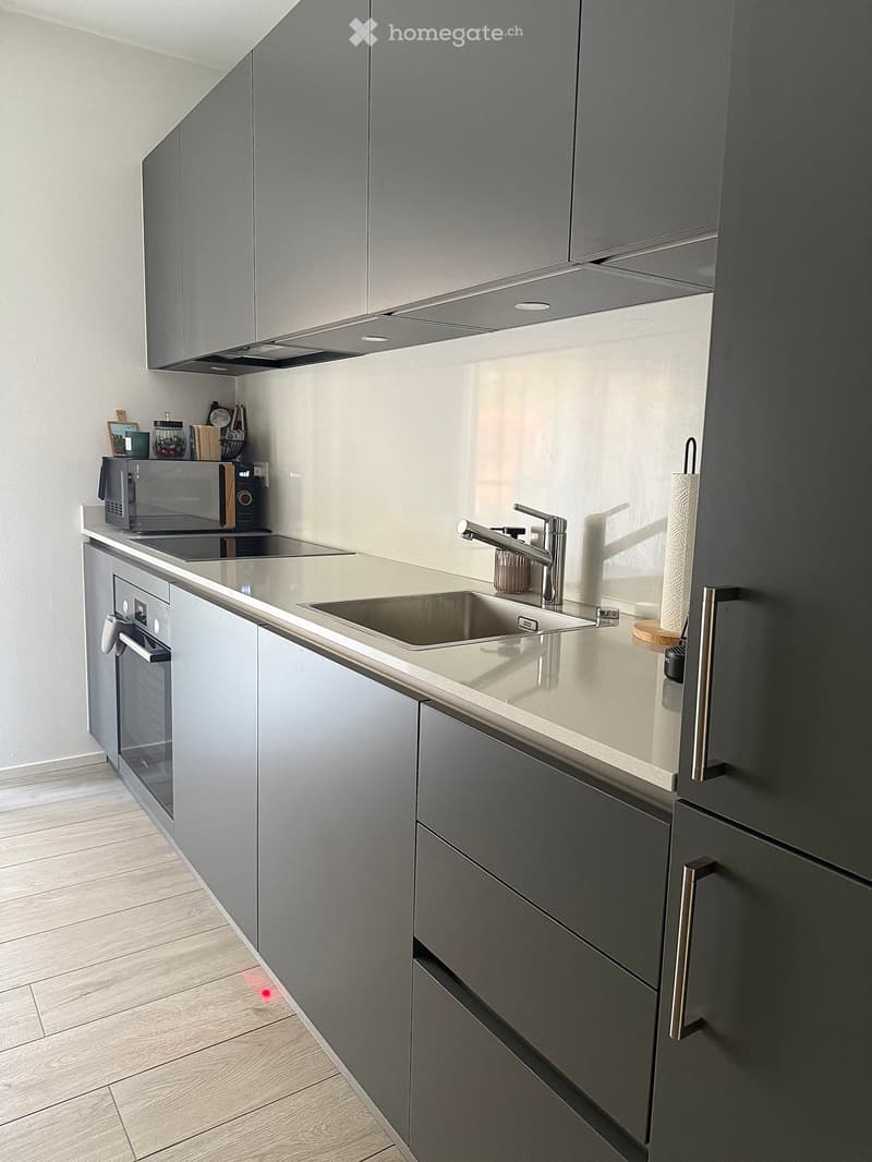 Cercasi subentrante per confortevole 2.5 a Solduno (7)