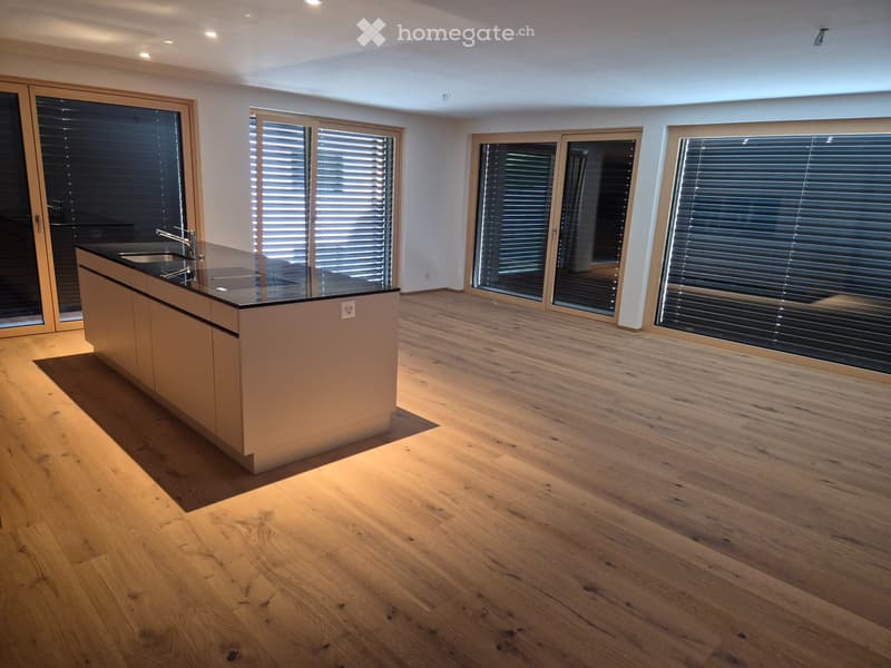 Erstbezug 3.5 Zi Neubauwohnung im EG (2)