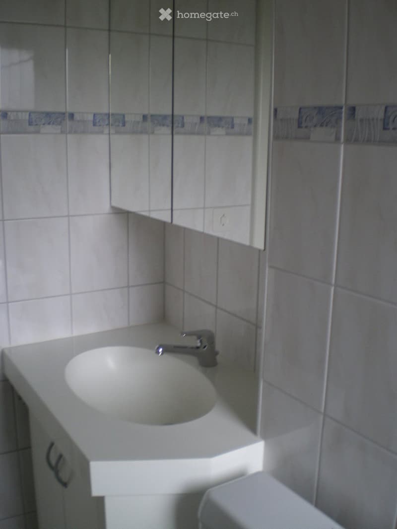 Helle 3 Zimmerwohnung (3)