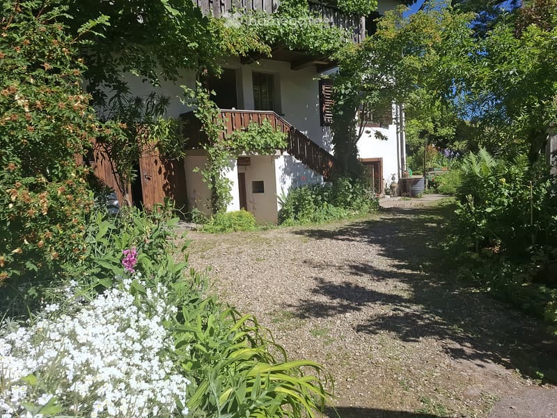 Charmante 3.5-Zimmer-Altbauwohnung mit Balkon in Altbüron (5)