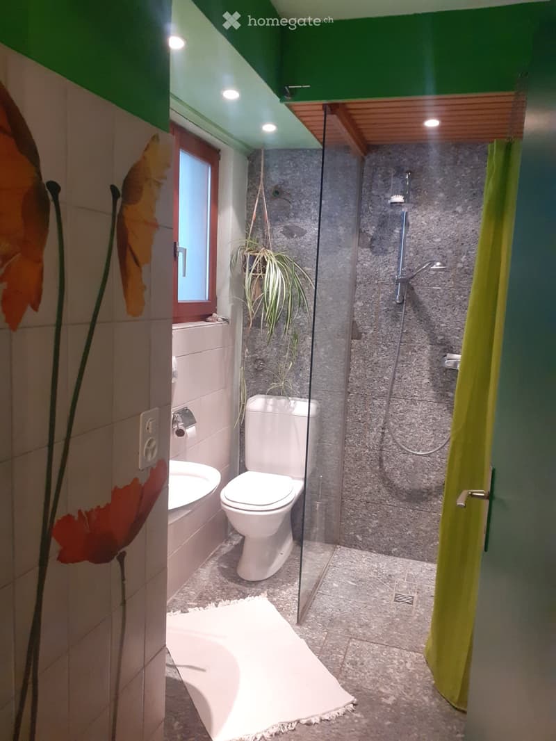 Malcantone, Monteggio affitto 6.5 locali (2)