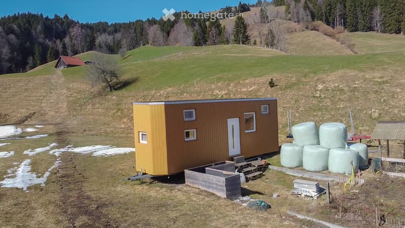 Tiny House (2)