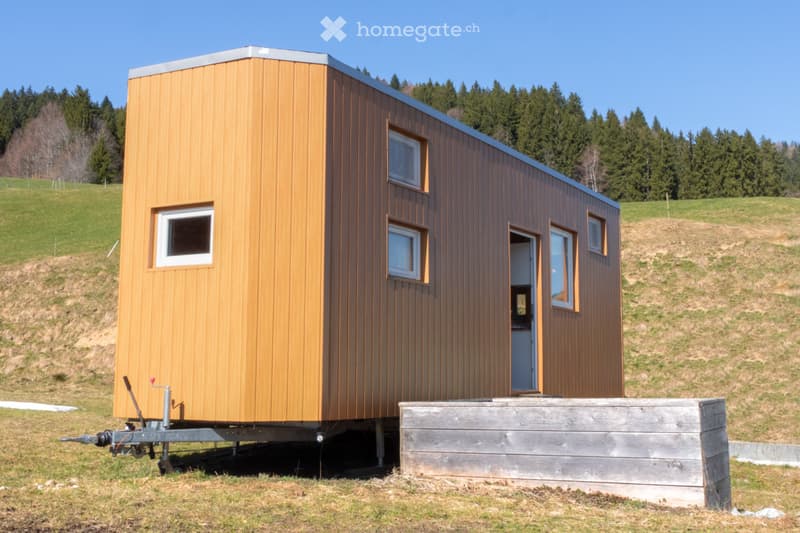 Tiny House (3)