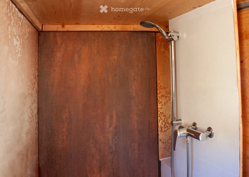 Tiny House (9)