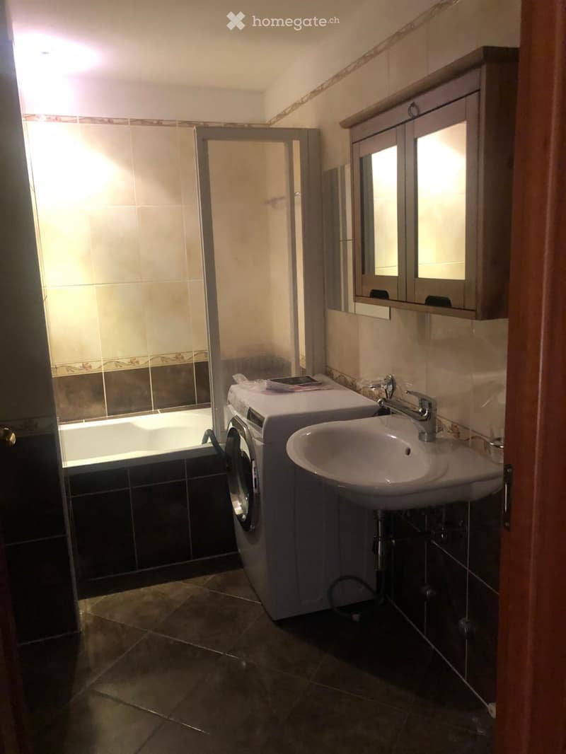 Mezzovico-Vira affittasi appartamento 3.5 locali (5)