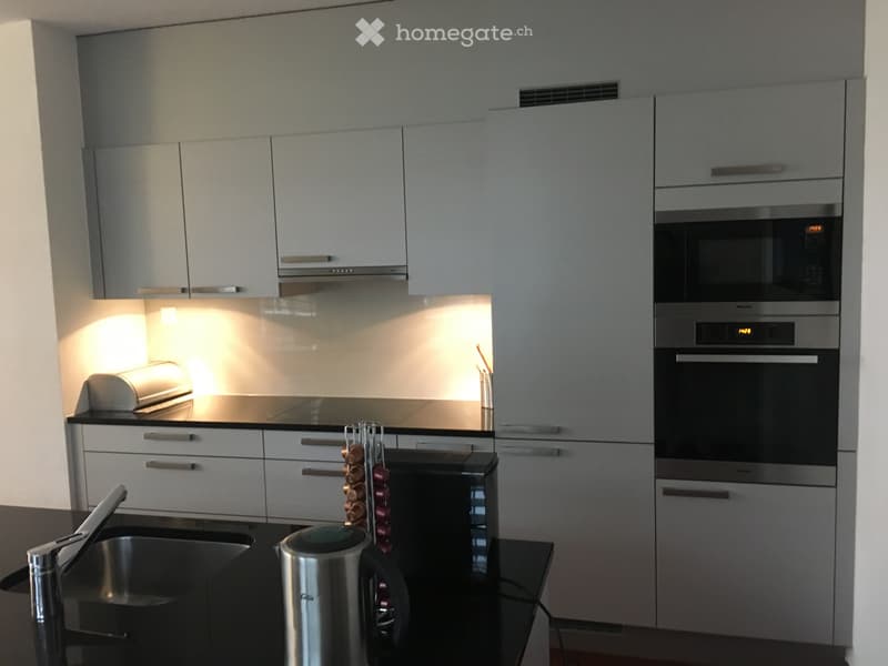 Moderne, lichtdurchflutete 4.5 Zimmer Whng in zentraler Lage (2)