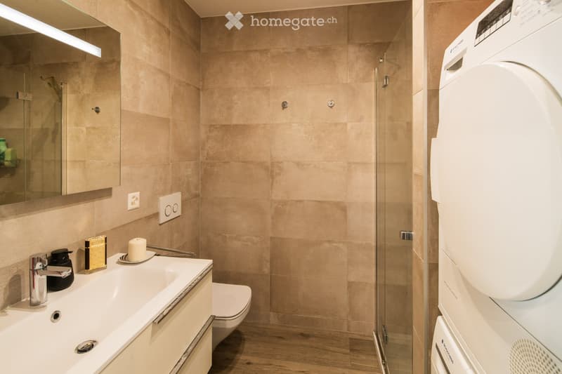 Elegante 3.5 locali con ampia terrazza, vicino al centro (5)