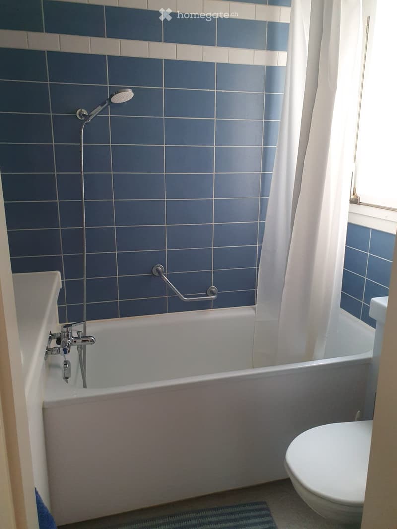 WG-Zimmer in einer 3.5-Zimmerwohnung in Birsfelden ab 01.07. (2)