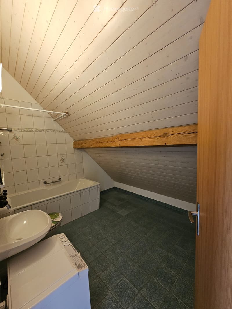 Charmante und heimelige Dachwohnung im Grünen (5)