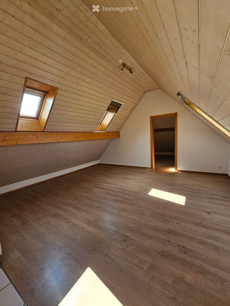 Charmante und heimelige Dachwohnung im Grünen (3)