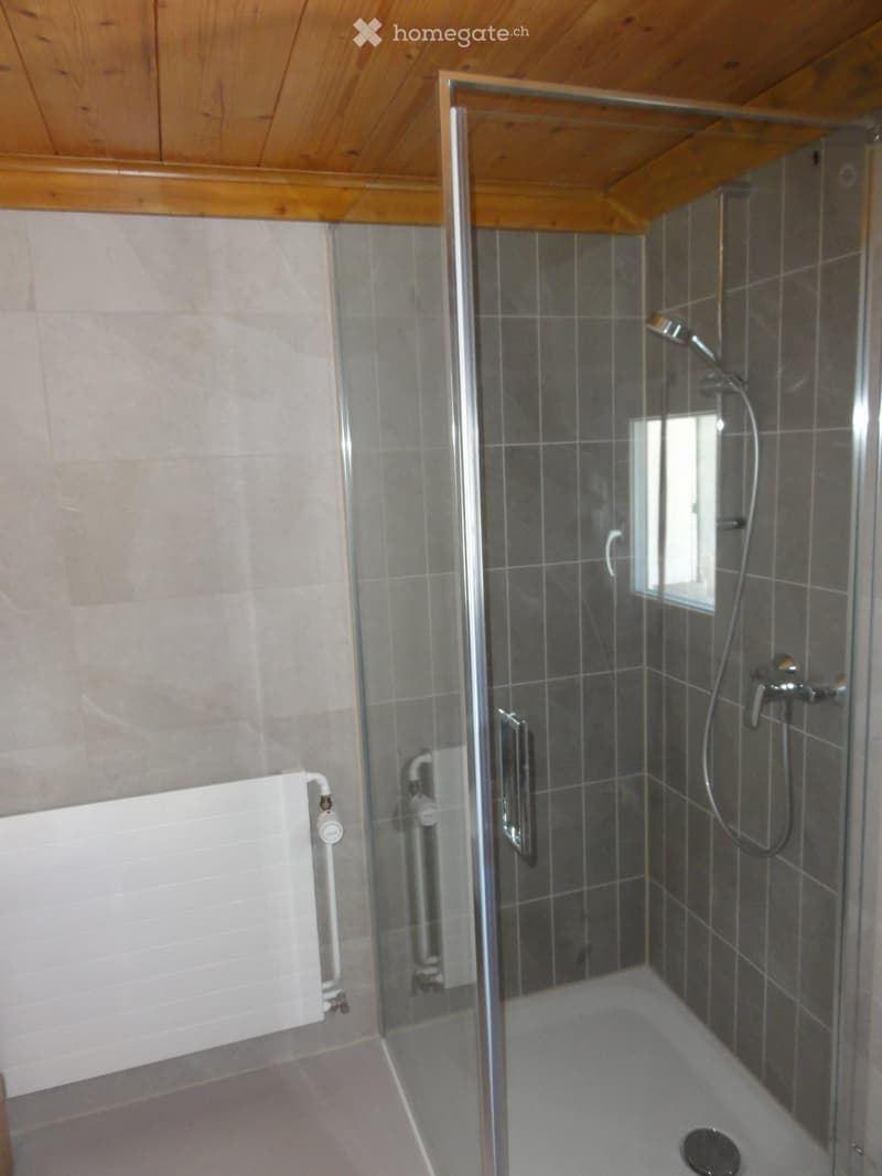 Zu vermieten 5 1/2 Zimmer Haus an sonniger Lage (8)