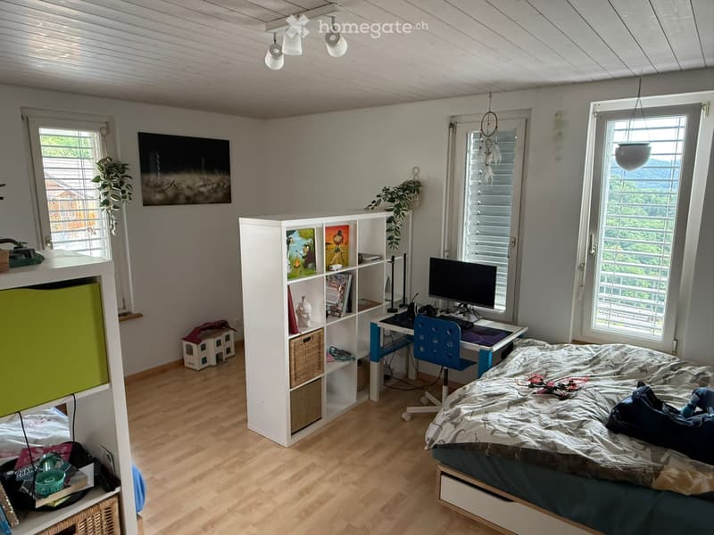 Helle 3.5-Zimmer-Wohnung auf der Sonnenterrasse in Blauen (3)