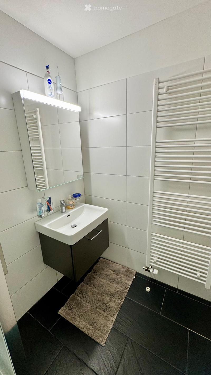 Apartamento 2 locali (2)