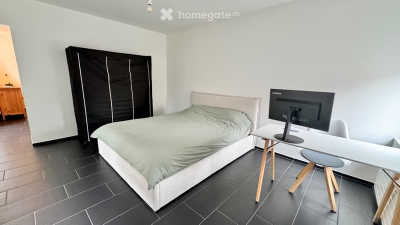 Apartamento 2 locali (1)