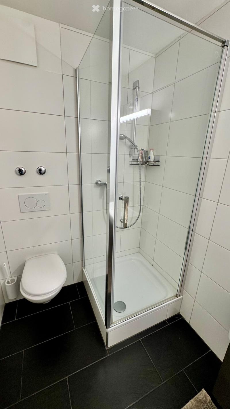 Apartamento 2 locali (3)