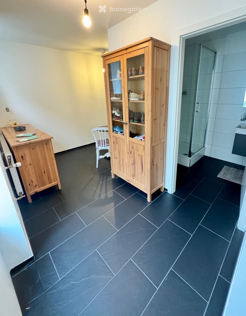Apartamento 2 locali (4)