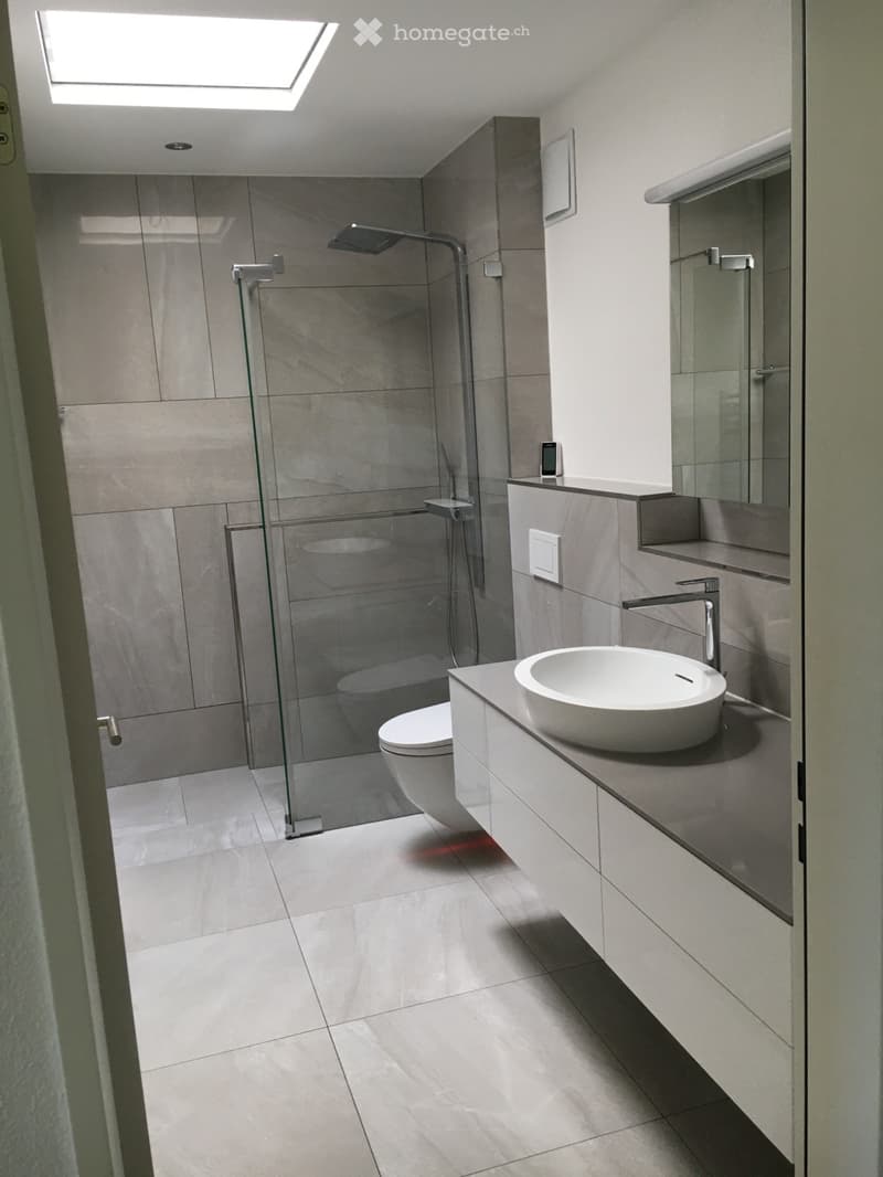 3.5 Zi-Wohnung in 8903 Birmensdorf zu vermieten (4)