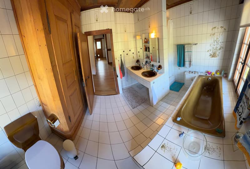 Nachmieter für 7 ½ Zimmer Patrizierhaus mit viel Umschwung (5)