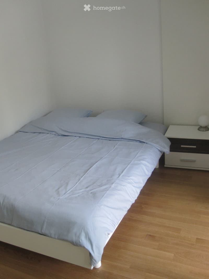 Appartement meublé 2 pièces, Nyon hypercentre, Rés. du Parc (3)