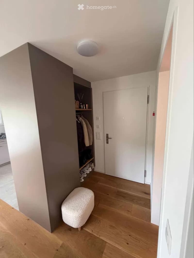 Moderne 2.5 Zi Neubau Terassenwohnung (4)