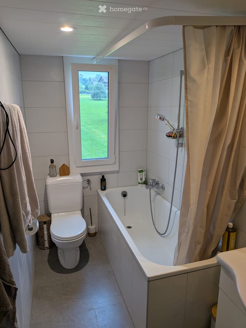 3.5 Zimmer Wohnung in Lauerz (3)