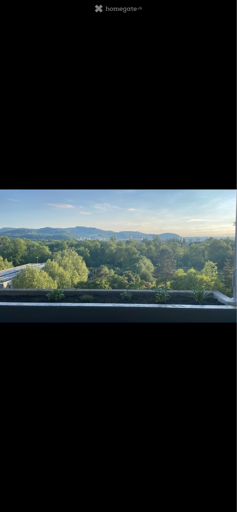Nachmieter gesucht per 01.08.2026 helle 2.5-Zimmer-Wohnung (1)