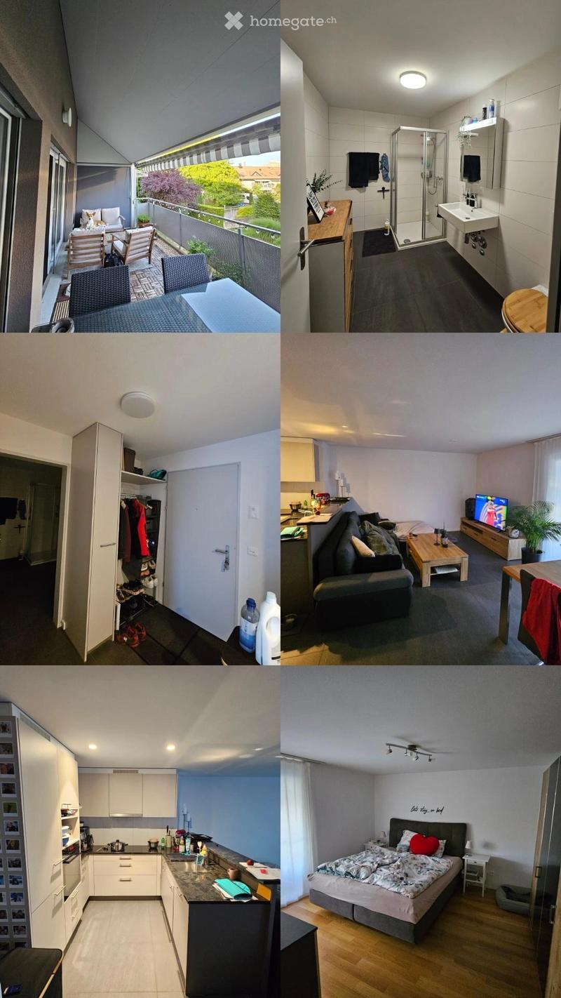 Nachmieter gesucht (1)