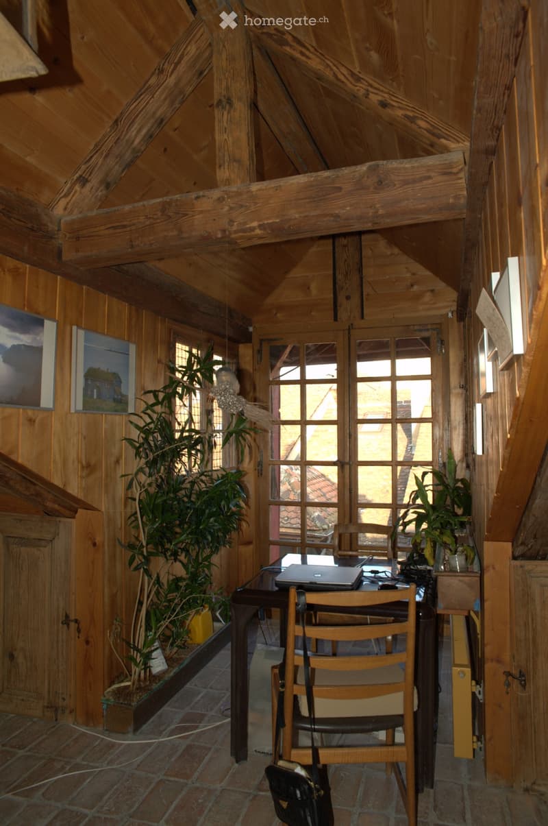 Appartement pittoresque 4.5, vieille ville de la Neuvevilles (2)