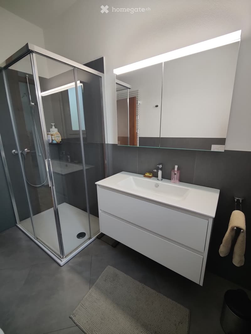 Appartamento 3.5 locali a Davesco casa bifamiliare (2)