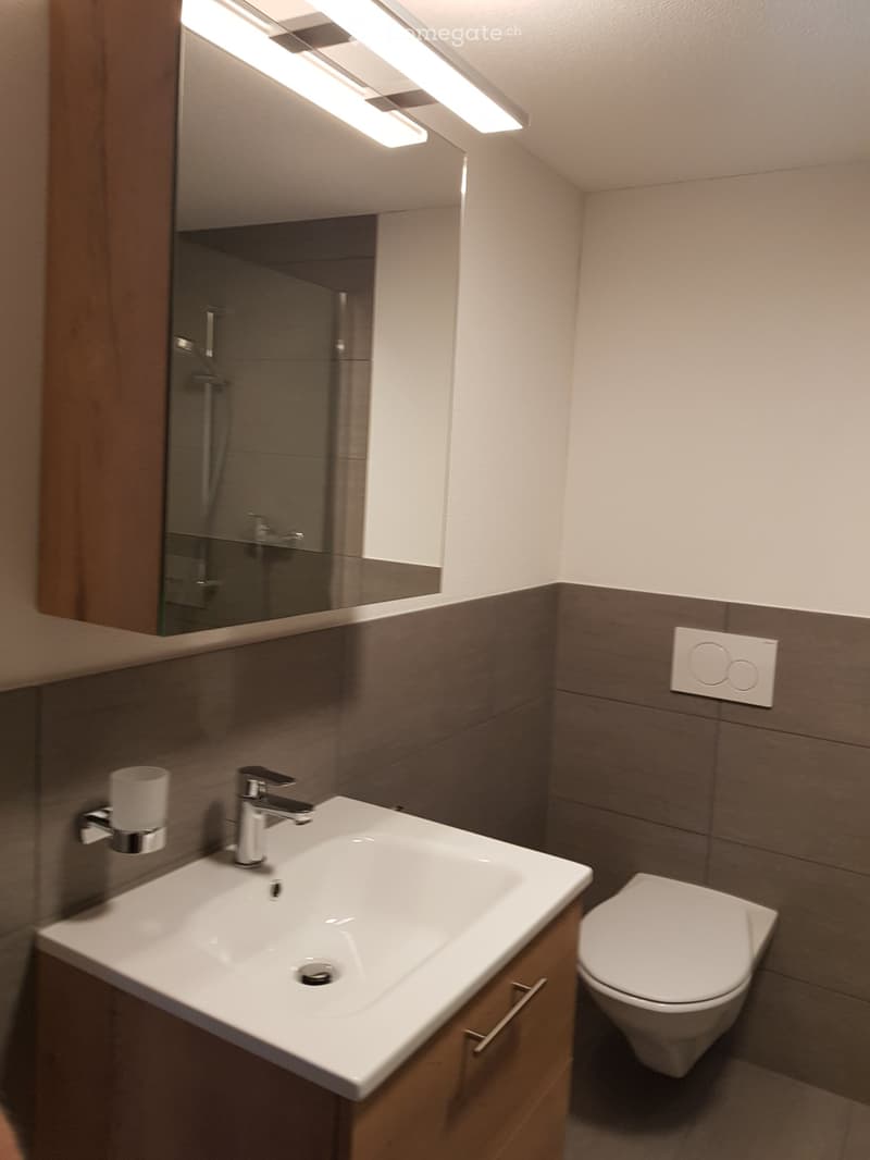 3,5 Zimmer-Wohnung (3)