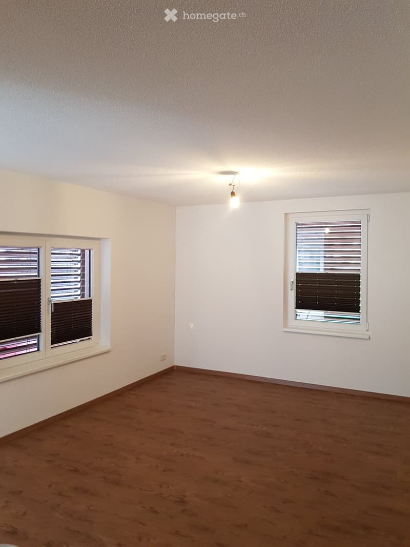 3,5 Zimmer-Wohnung (2)