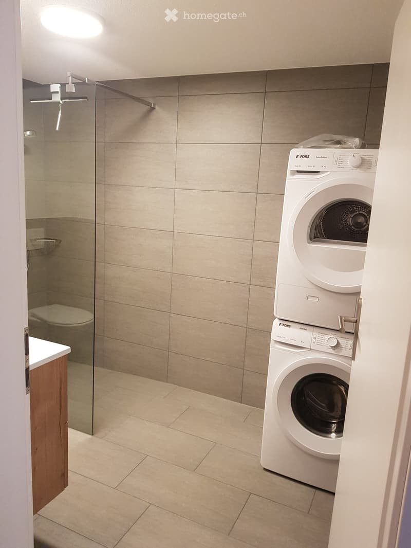 3,5 Zimmer-Wohnung (4)