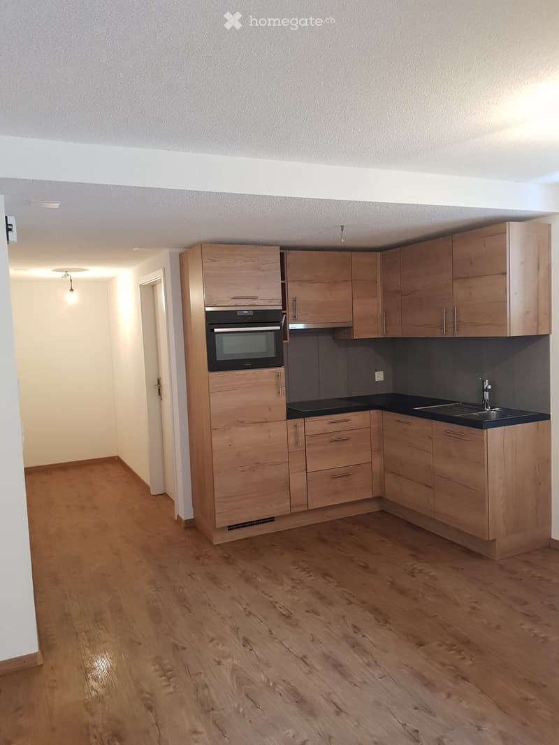 3,5 Zimmer-Wohnung (1)