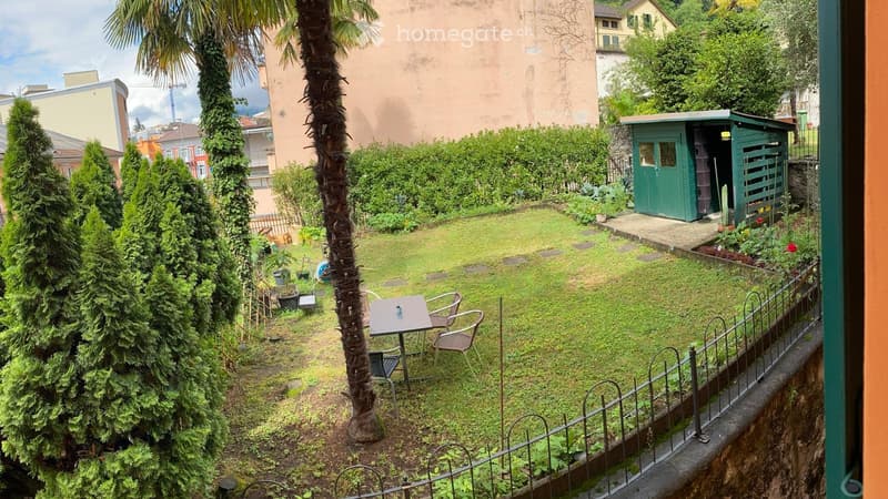 Cerco subentrante appartamento con giardino (5)