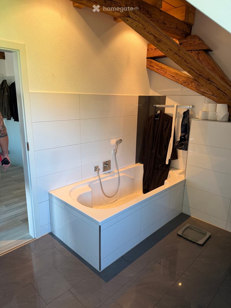 Helle moderne  DG Wohnung mit 120m"zu vermieten (3)