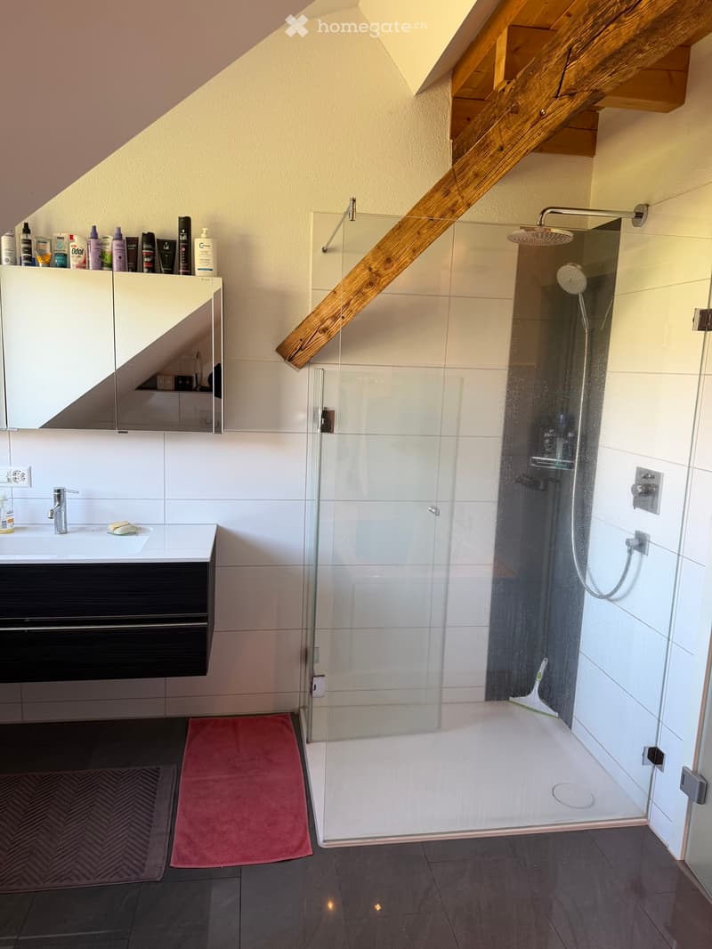 Helle moderne  DG Wohnung mit 120m"zu vermieten (2)
