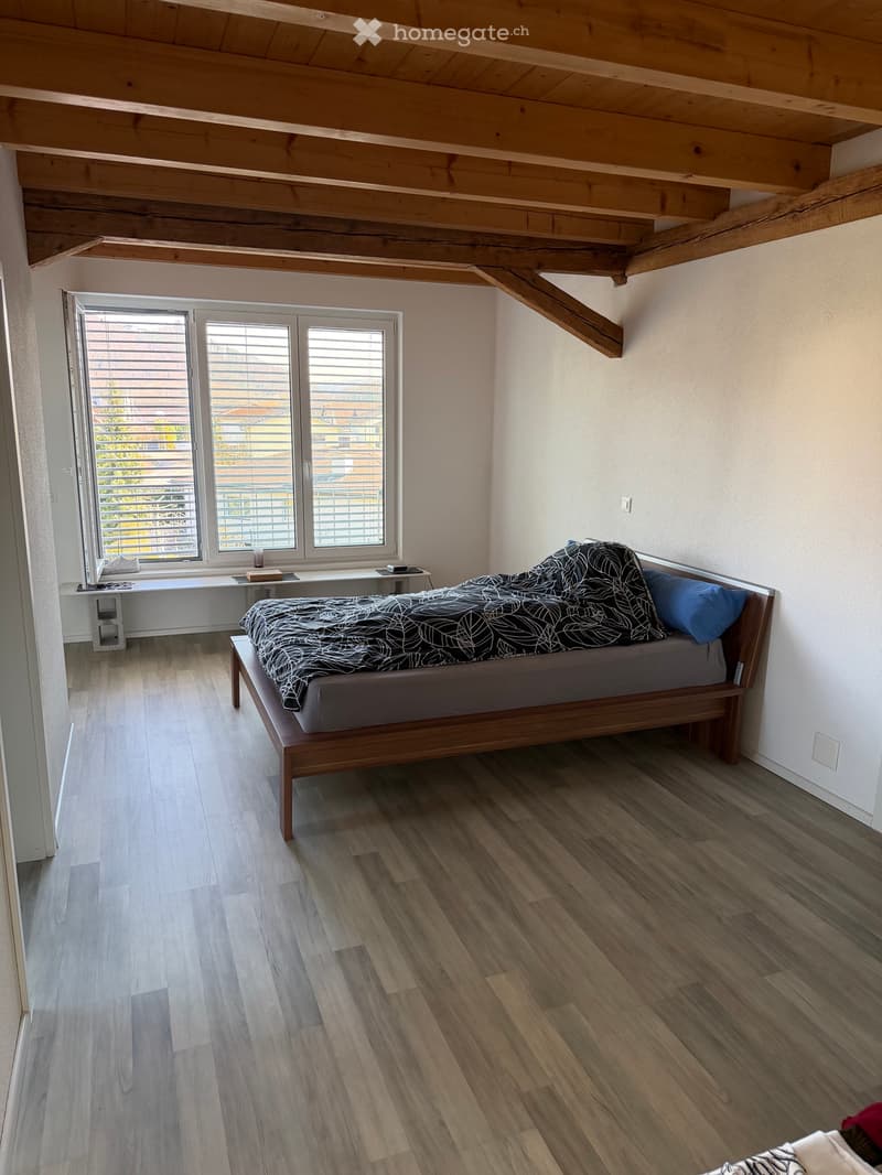 Helle moderne  DG Wohnung mit 120m"zu vermieten (5)