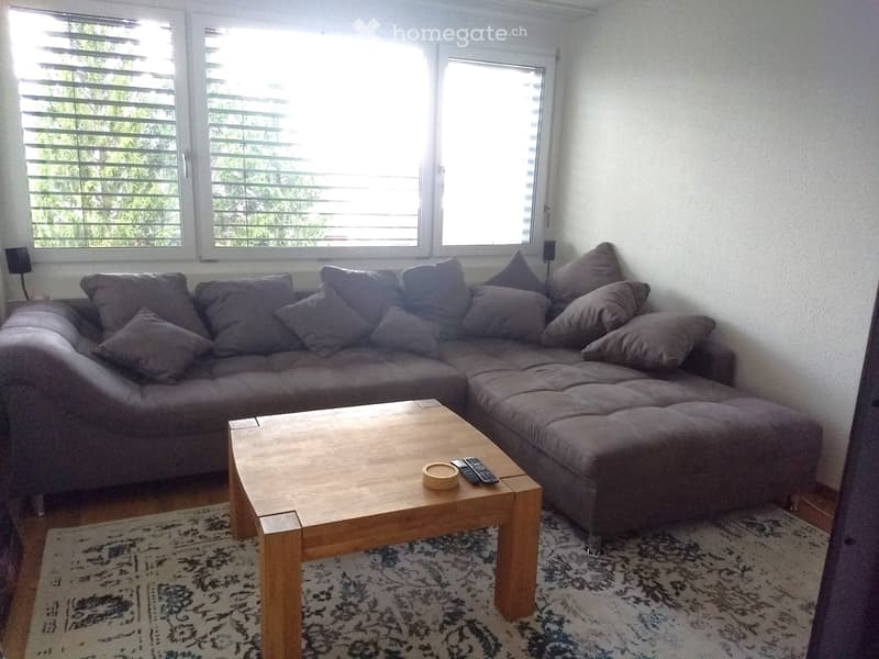 Möbilierte 3.5 Zimmerwohnung 70m2 in Zug 1. August (3)