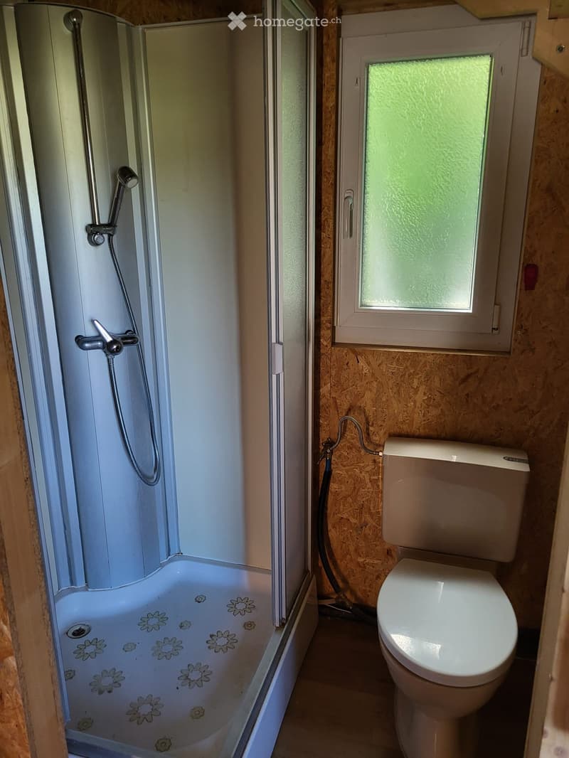 Container/Tiny Haus (2)