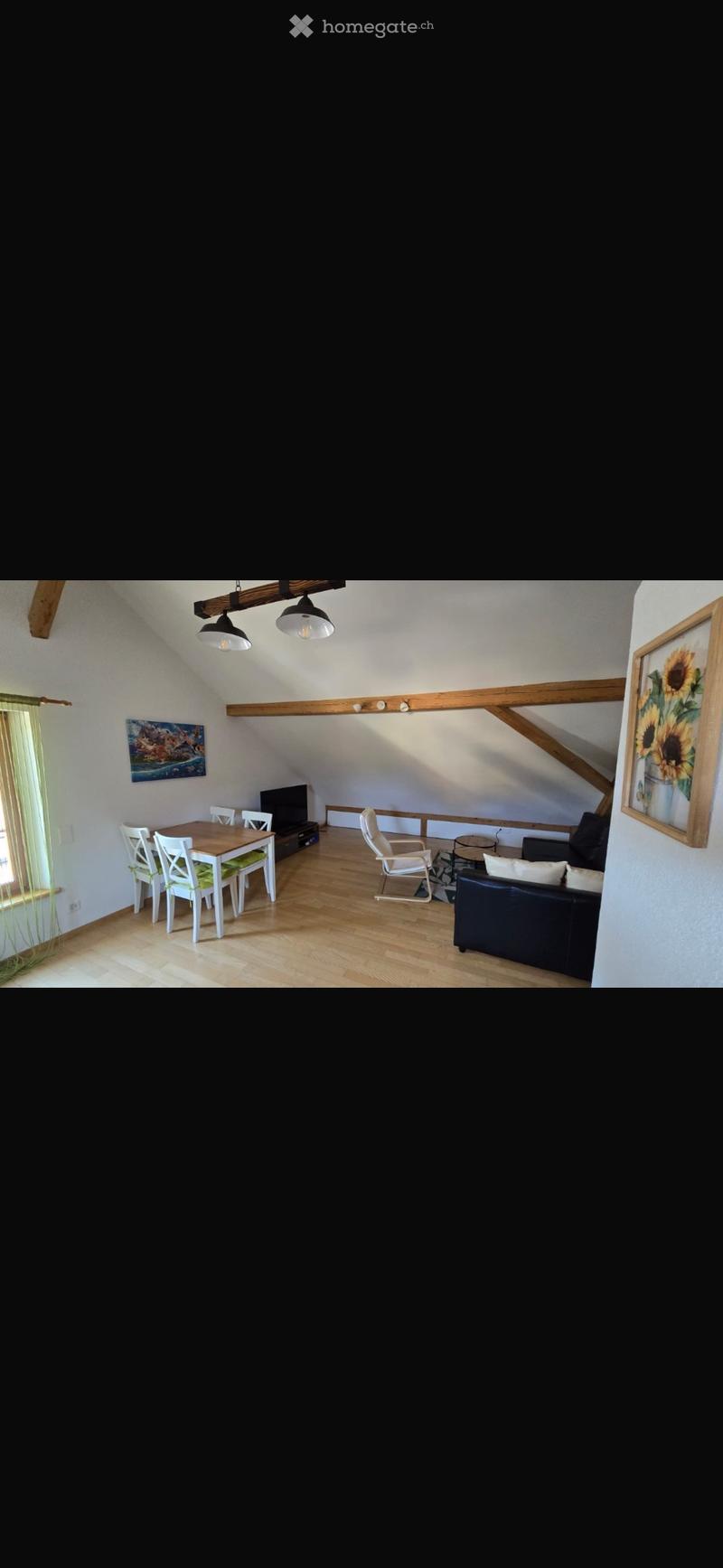 Möbliertes 2 Zimmer Studio (1)