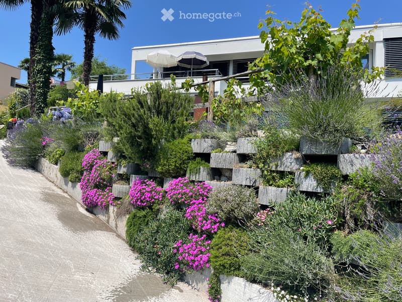 Appartamento vista lago per single o coppie (13)