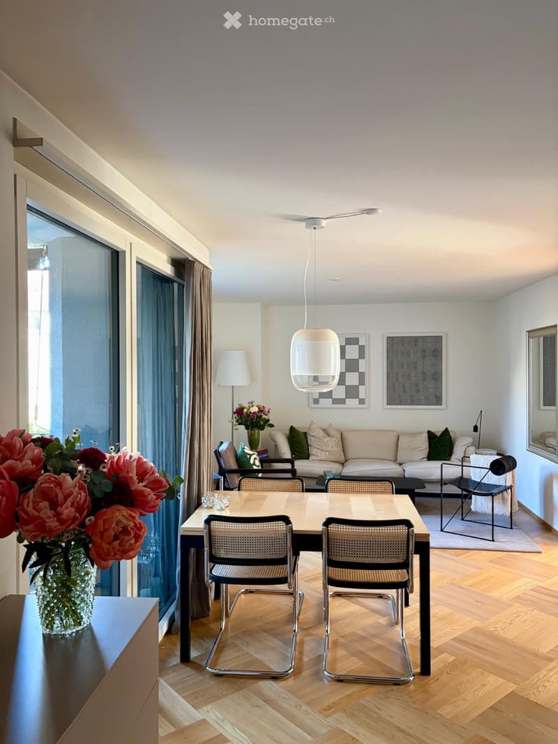 Beautiful Flat in Zurich Wiedikon (2)
