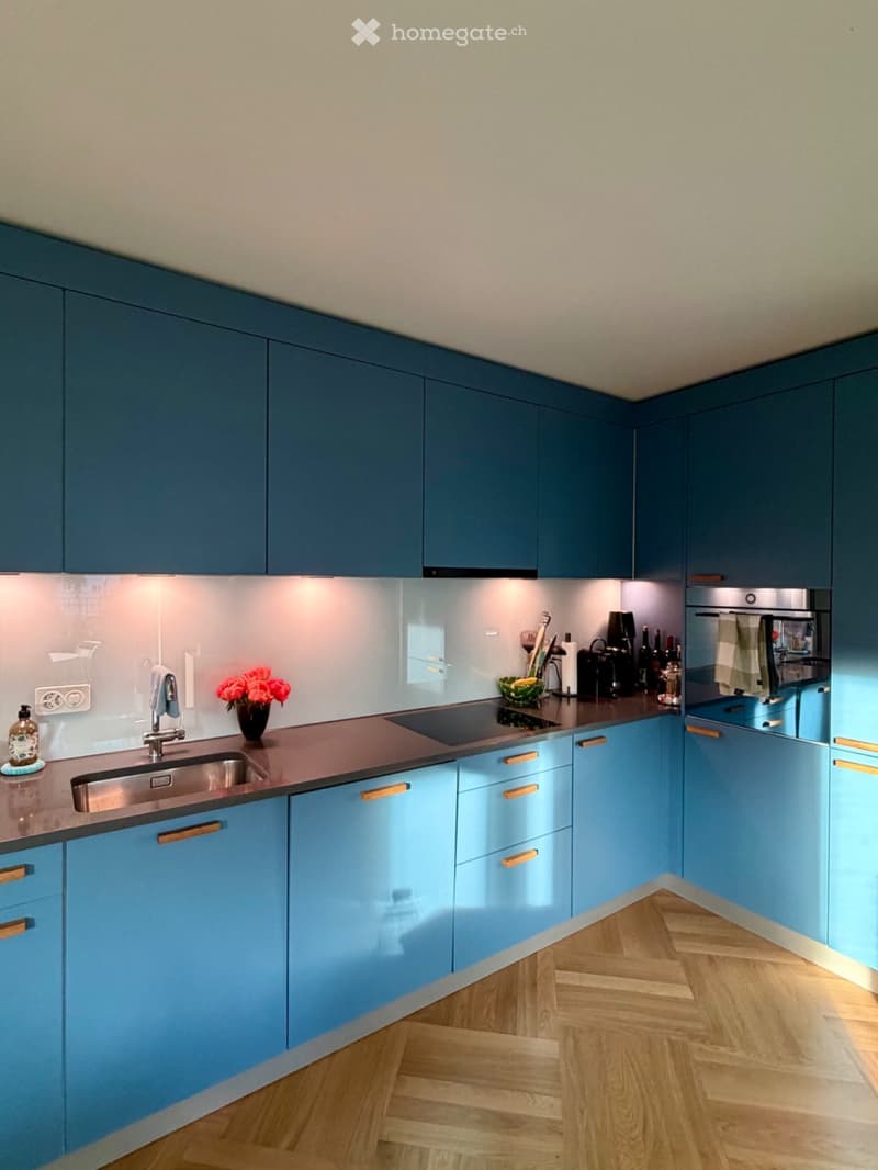 Beautiful Flat in Zurich Wiedikon (5)